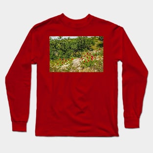 Olive Trees and Wild Flowers on Brac, Croatia Long Sleeve T-Shirt